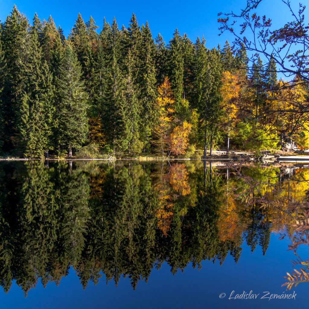 Velké Javorské jezero - Grosser Arbersee