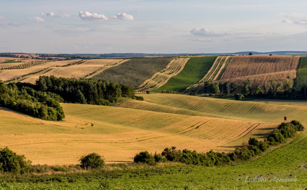 Moravské Toskánsko - Šardické biopásy