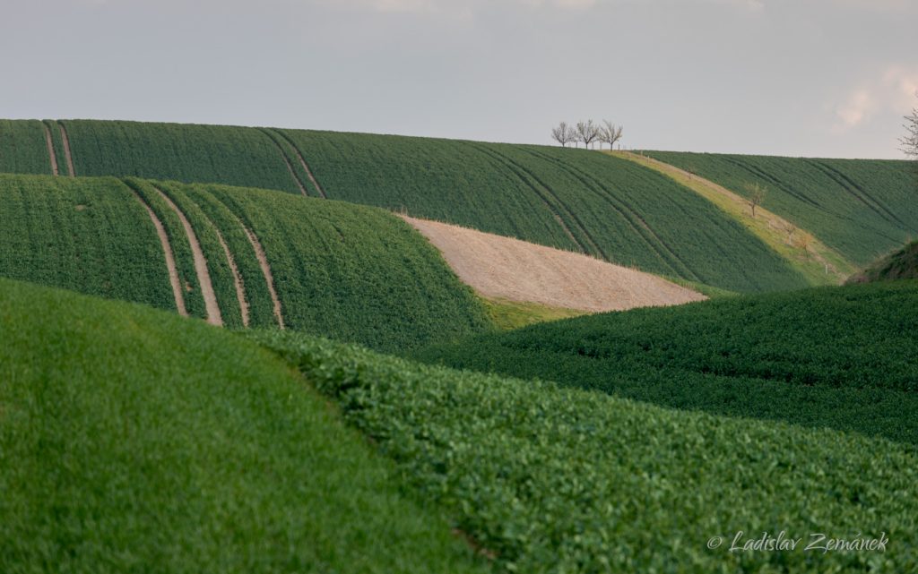 Moravské Toskánsko - Šardice