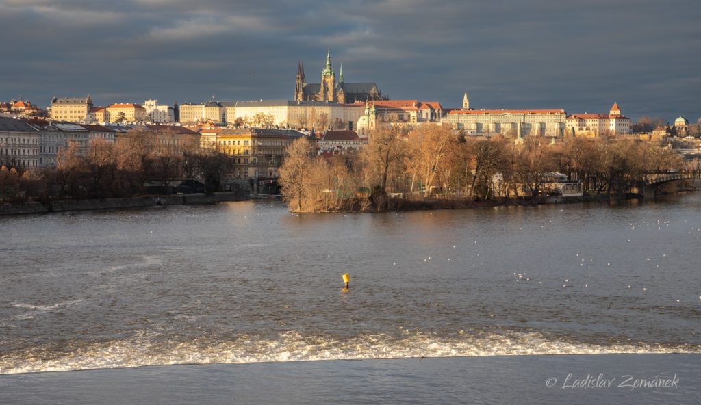 Vltava, Střelecký ostrov a Pražský hrad