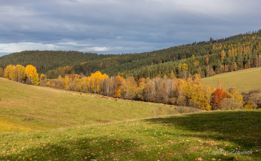 Kašperské hory - podzim pod Kašperkem